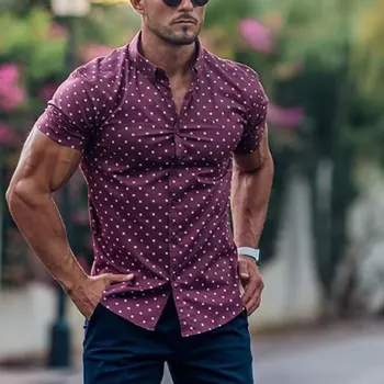 Primavara/Vara Noi Retro Moda pentru Bărbați Cămăși Casual Brand de Rochii de Plajă din Hawaii Topuri cu Mâneci Scurte Butoane Plus Dimensiunea Îmbrăcăminte Imagine 2