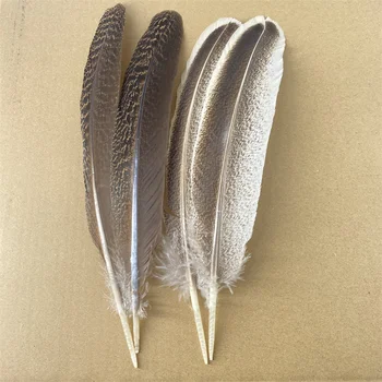 10buc/Lot Naturale Pene de Vultur Plume Headdres Accesorii Decor de Carnaval cu Pene DIY Artizanat Decor Pene pentru Meserii